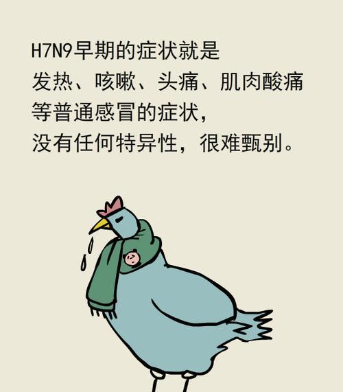 预防禽流感，共同守护健康