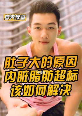 减少内脏脂肪含量的有效方法（健康饮食和适度运动是关键）