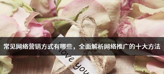 网络营销推广方法大揭秘（掌握网络营销的关键策略）
