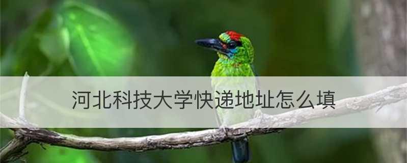 河北科技大学全国排名大幅上升（探寻河北科技大学发展的关键）