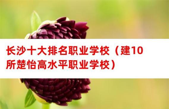 全国最好的职业学校排名（提供优质教育培训）