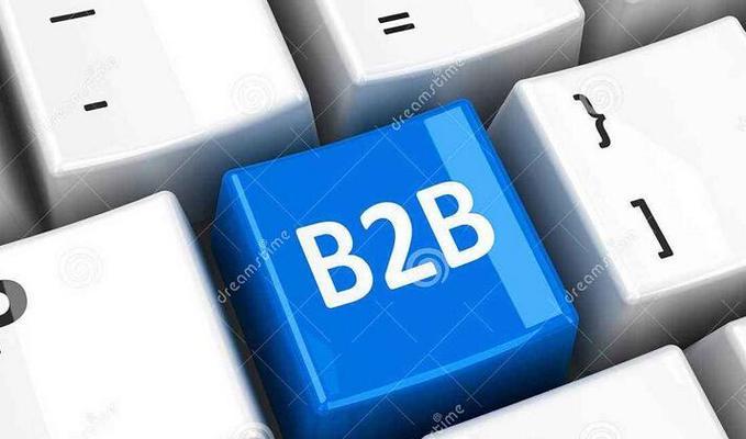 B2B推广网站的有效策略与技巧（打造强势网络平台）