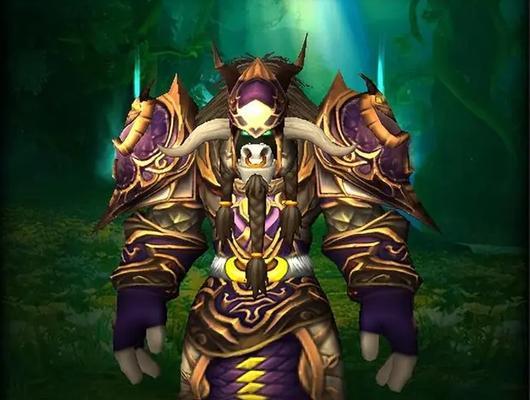 《魔兽世界套装大全一览》（从头到脚）