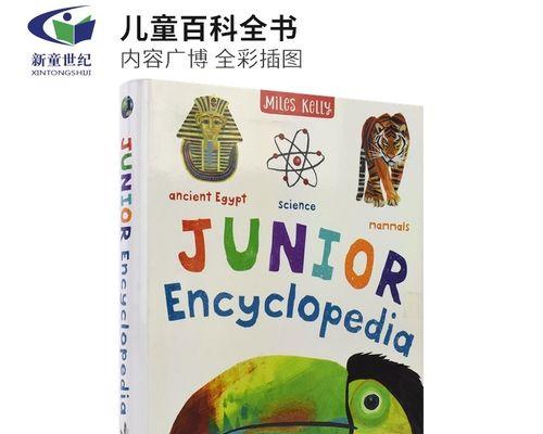 提升公司网页设计的关键要素（打造个性化）