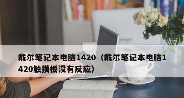 戴尔笔记本没有声音解决方法（排查和解决戴尔笔记本无声问题的步骤和技巧）