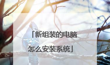 电脑自助重新装系统（教你如何简单快速地重新装系统）