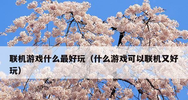 寻找最佳二人联机游戏（为你推荐适合两人一起游玩的游戏大作）