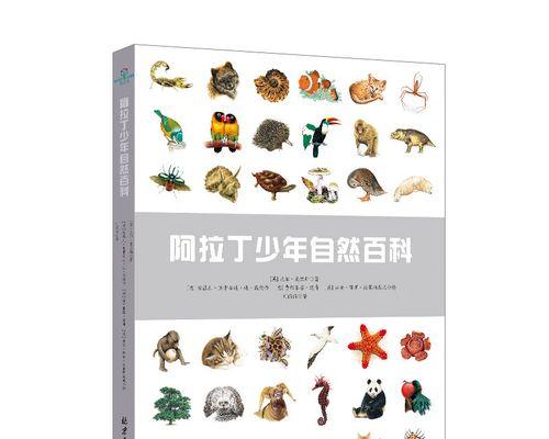 电脑初学者必知的基础知识（掌握这些关键知识）