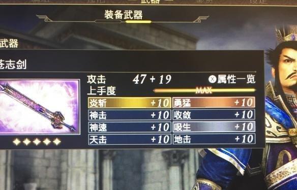 《拥有无双大蛇z武器的终极指南》（从获取方法到使用技巧）
