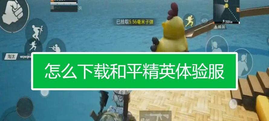 《和平精英游戏菜鸟培训》（打造一流游戏大神的必修课）