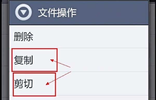 电脑文件格式化后的恢复（如何从格式化的硬盘中找回丢失的文件）