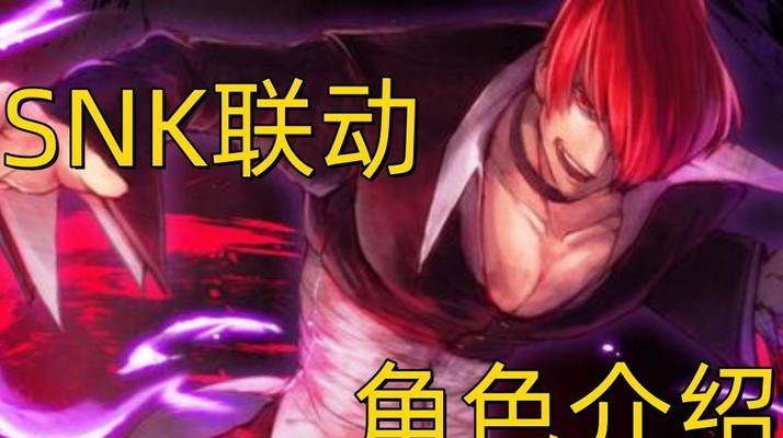 《附男格斗稀有装扮一览》（探究附男格斗稀有装扮的美丽与价值）