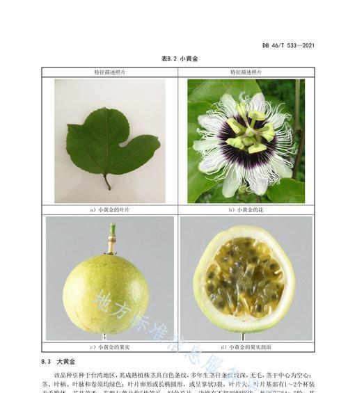 学会以图片链接生成jpg（一步一步教你如何生成高质量的jpg图片）