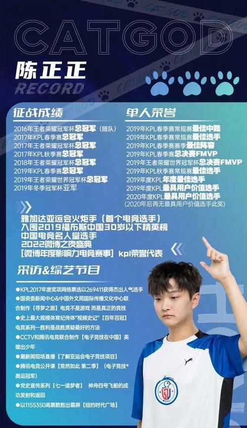 王者荣耀国家队成员的薪资待遇是多少？