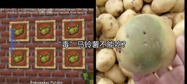 我的世界中甜马铃薯种植技巧是什么？