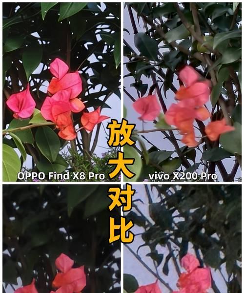 如何查看手机拍照参数？了解拍照参数对摄影有何帮助？