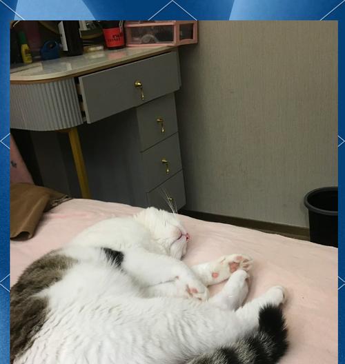 7plus手机拍照效果如何？适合摄影爱好者吗？