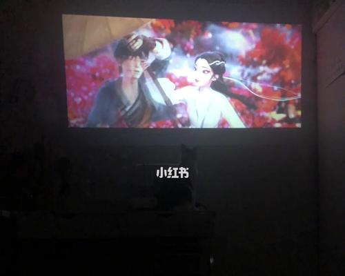 投影仪播放朋友合照时出现的问题如何解决？