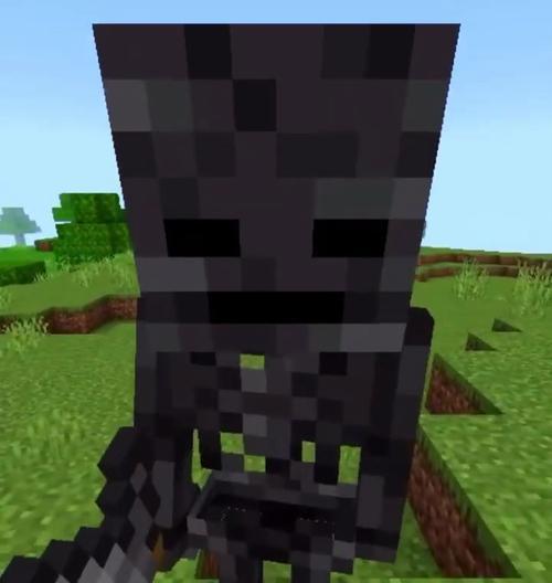 凋零骷髅在Minecraft中的原始形态？