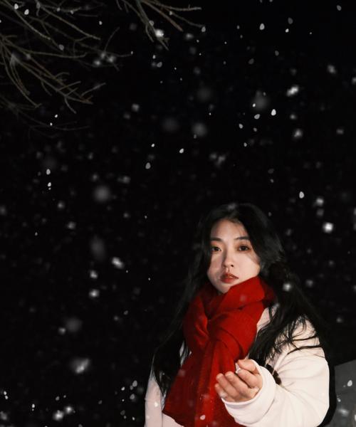手机如何拍出自然雪景照片？有哪些拍摄技巧？