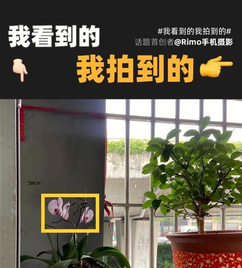 如何用手机侧拍拍出好照片？侧拍照片的技巧有哪些？