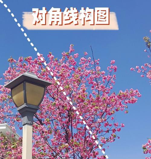 手机拍照如何构图更美观？自拍技巧有哪些？