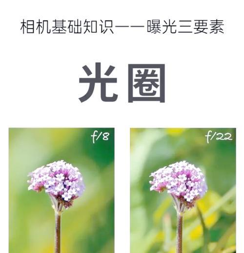 手机相机拍照文字模糊如何解决？有哪些技巧？