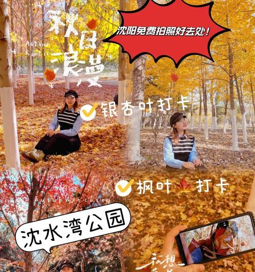 手机相机打卡拍照模糊问题如何解决？