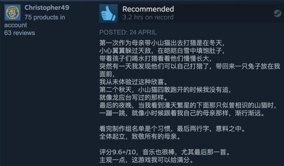 难民配置电脑能玩游戏吗？如何优化性能？