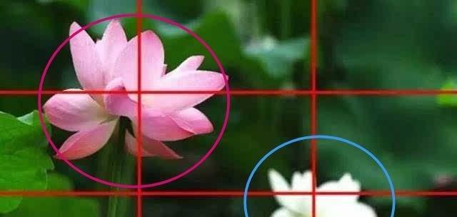 九宫格构图法有哪些特点？如何运用在摄影中提高作品质量？