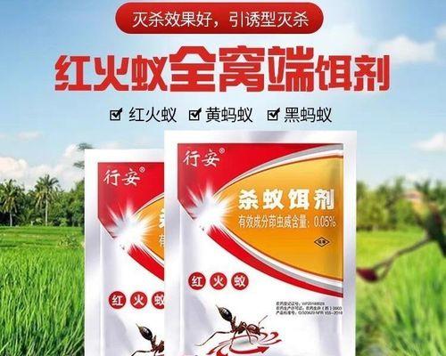 树上蚂蚁窝怎么消灭它？有效方法和步骤是什么？