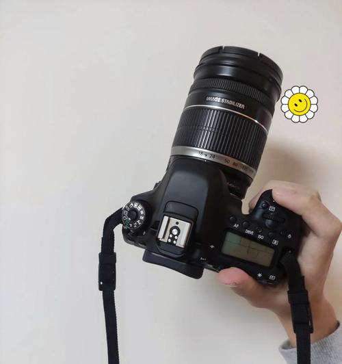佳能310相机使用方法是什么？使用过程中可能遇到哪些问题？