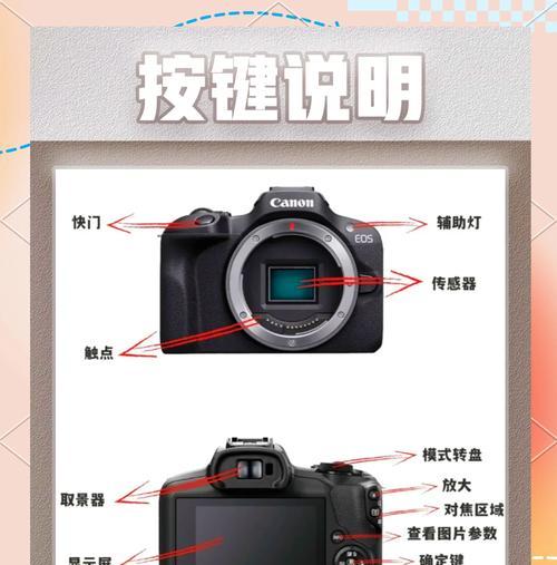 佳能310相机使用方法是什么？使用过程中可能遇到哪些问题？