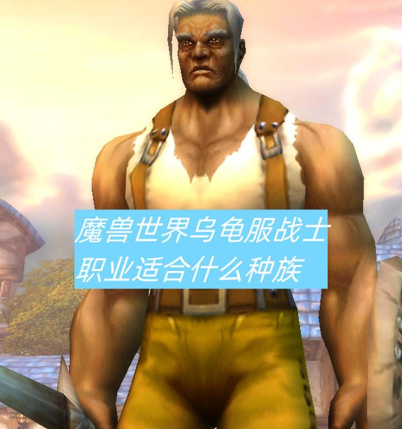 乌龟服猛击宏在魔兽世界中的应用？