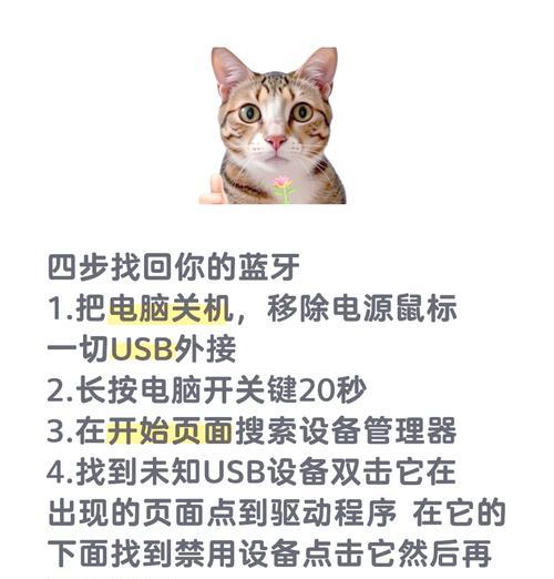 网卡没有蓝牙功能是怎么回事？如何恢复？