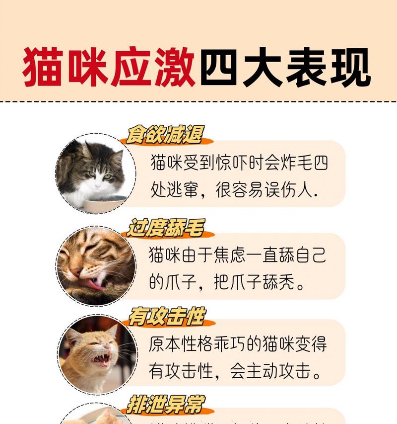 小猫舔数据线如何阻止？舔数据线对小猫健康有影响吗？