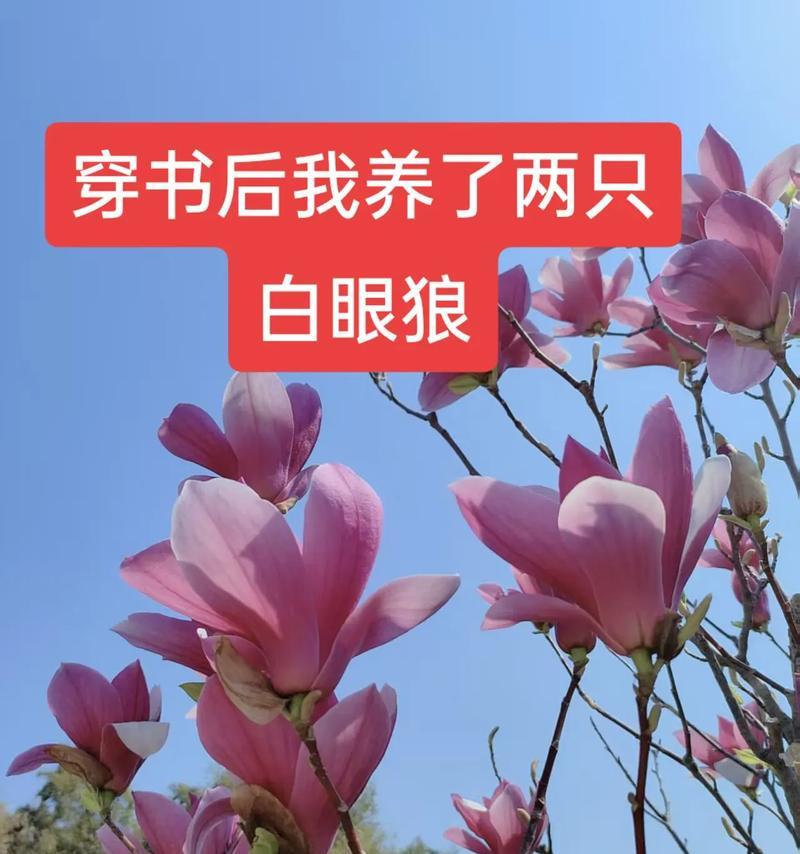魔兽亡灵世界喂狼任务通过方法？