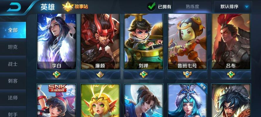 在荷兰如何玩王者荣耀？网络设置有哪些？