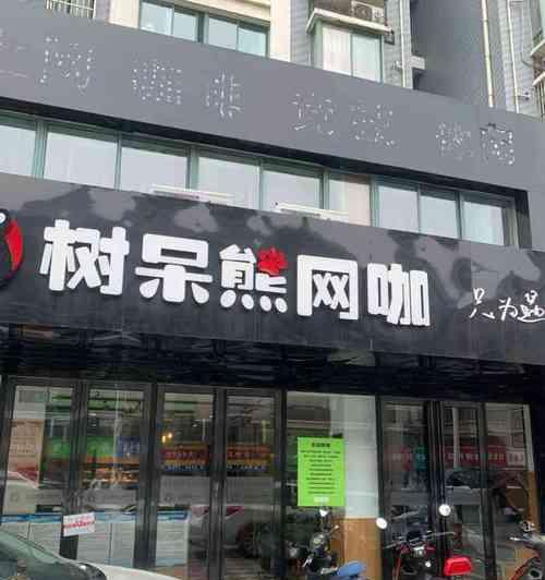 树呆熊的显示屏怎么样？如何选择合适的型号？