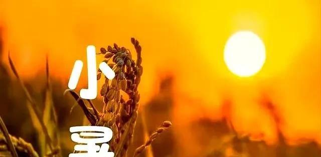 台风丹娜丝跑偏大拐弯，新一轮降雨中心已定，大雨暴雨分布如下