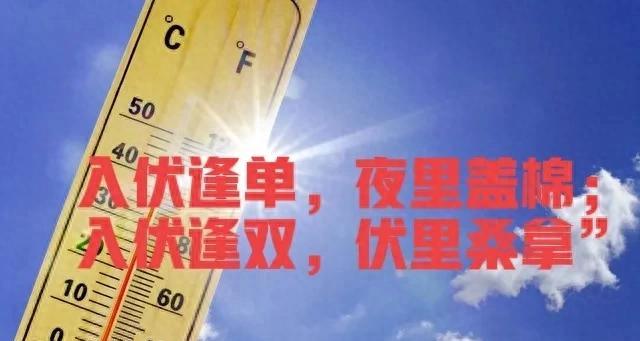 “入伏逢单，夜里盖棉；入伏逢双，伏里桑拿”，今年的入伏在哪？