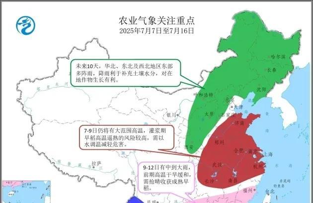 山东省降雨形势转变，高温天气全面来袭，具体分布如下地区