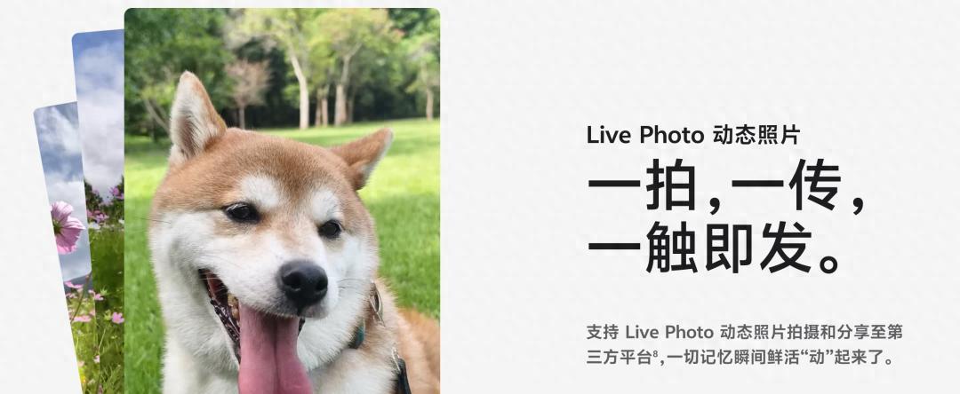 啧啧，微信刚刚这波更新，安卓鸿蒙又要傻眼了
